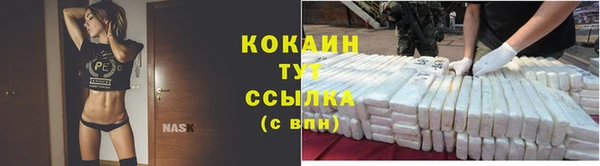 шишки Балабаново