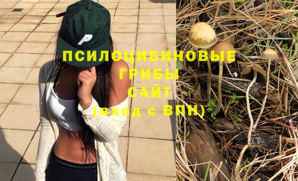 стафф Балахна