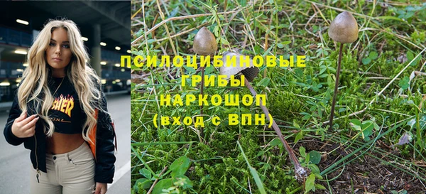 шишки Балабаново