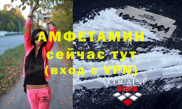 шишки Балабаново