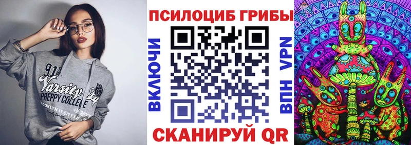 где продают   Кукмор  Псилоцибиновые грибы GOLDEN TEACHER 
